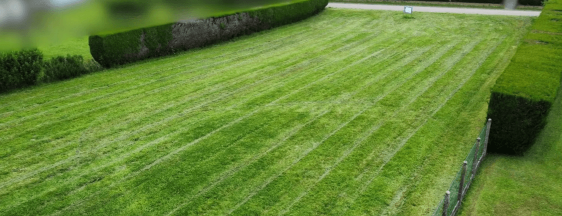 Parcelle proposée à l’étude à Bercenay-en-Othe