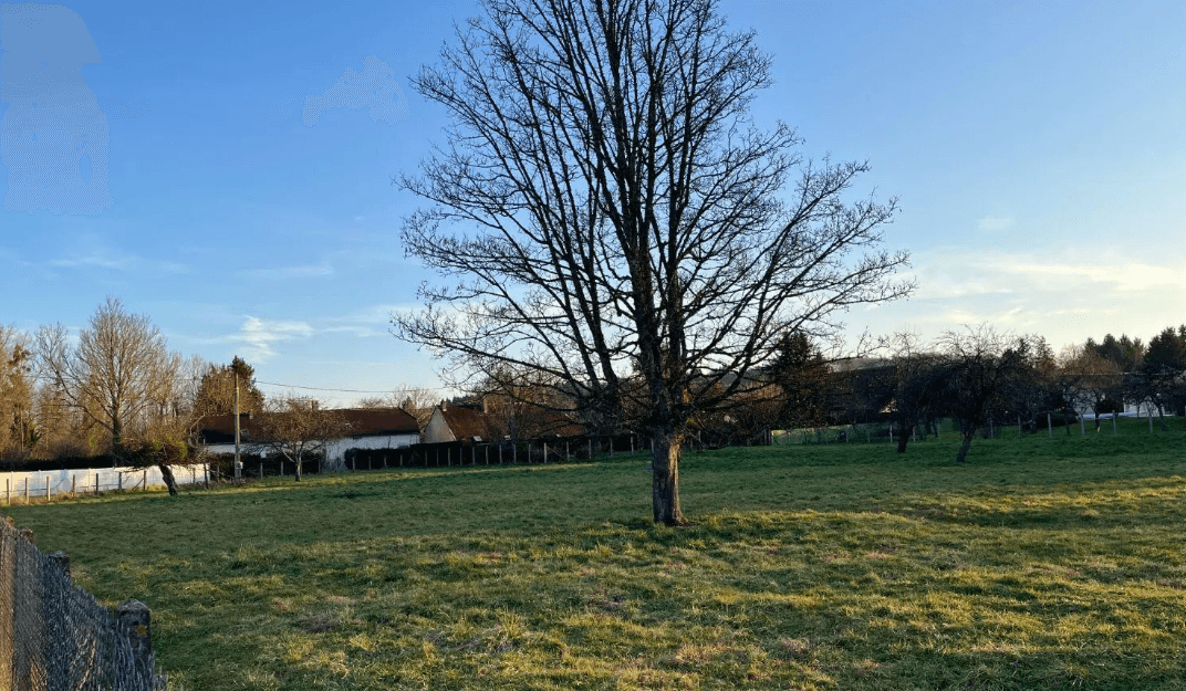 Parcelle arborée proposée à l’étude à Chennegy